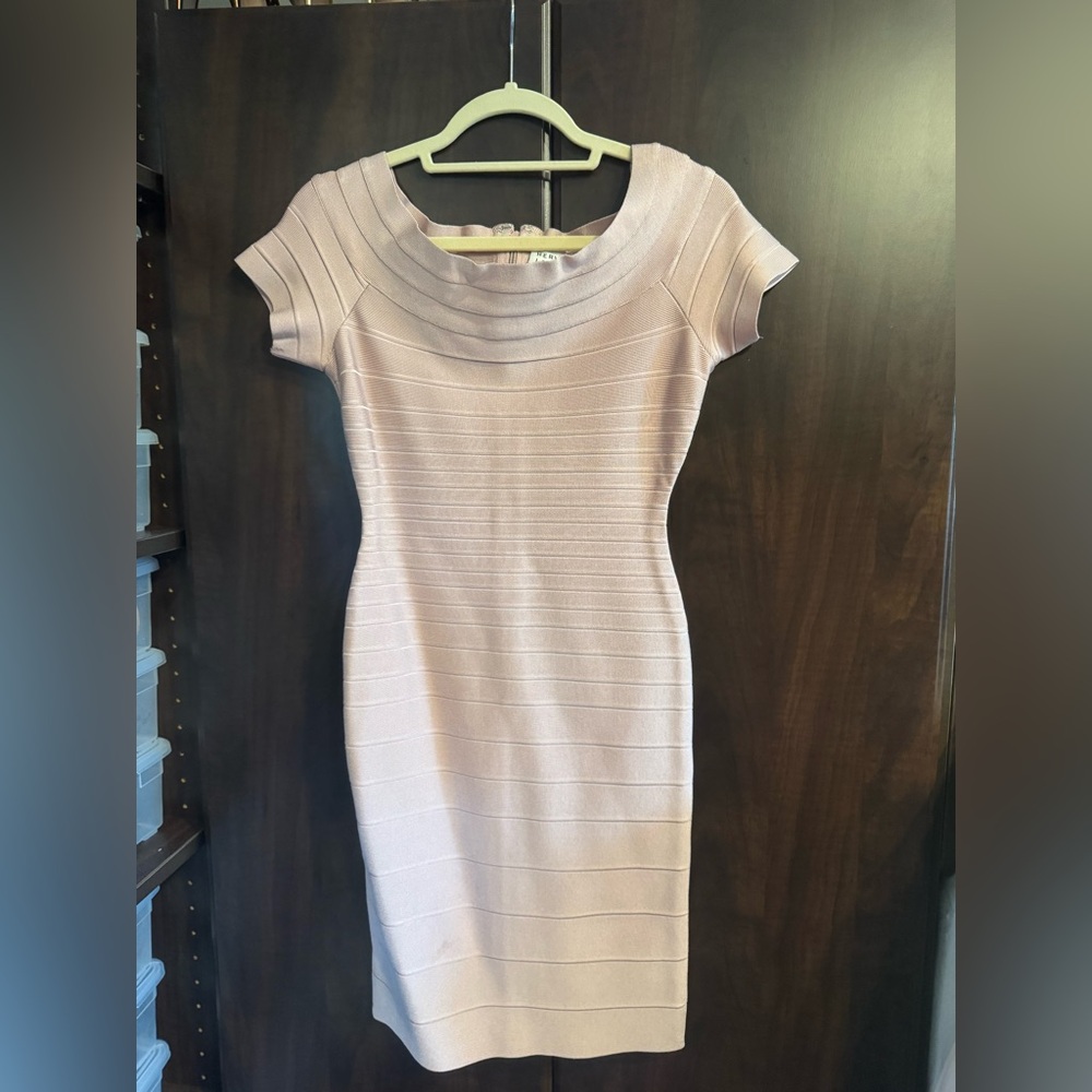 Herve Leger Blush Pink Garment